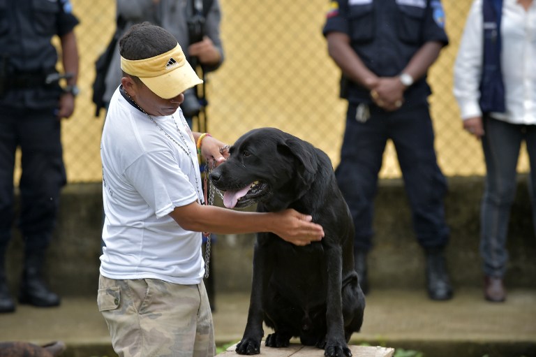 (VIDEO) Terapia canina contra el estrés en prisión de Santo Domingo