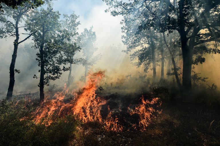 Graves incendios forestales arrasan 3.000 hectáreas en el sureste de Francia