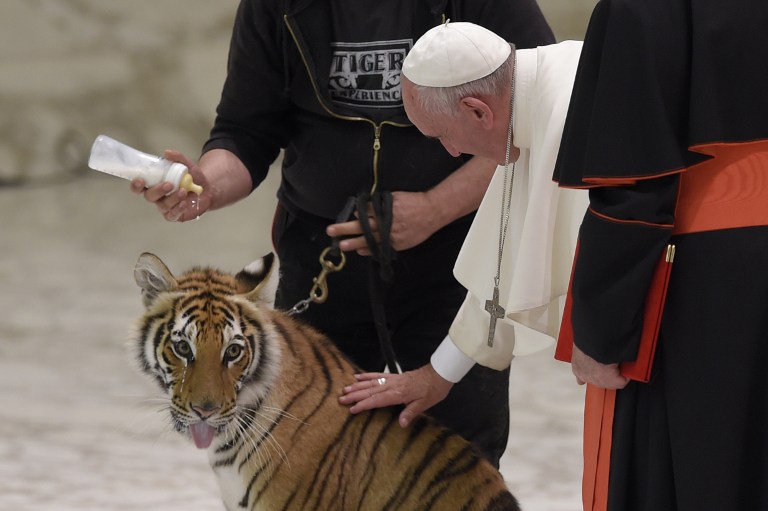 Papa acaricia cachorros de tigre y pantera en visita de artistas circenses al Vaticano