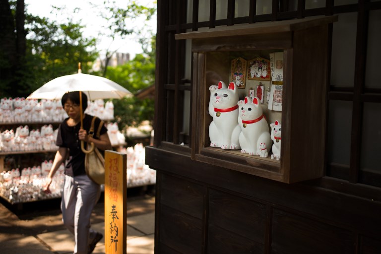 Un templo de gatos atrae a &#039;instagramers&#039; de todo el mundo