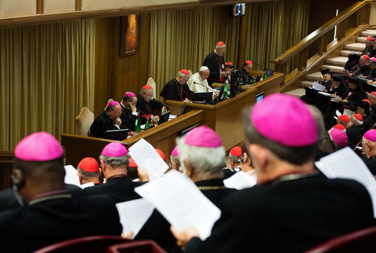 Papa pide a obispos que &quot;hablen claro&quot; y sin tapujos sobre la familia