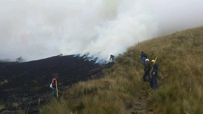 Incendio en los páramos de la reserva de Mojanda fue controlado