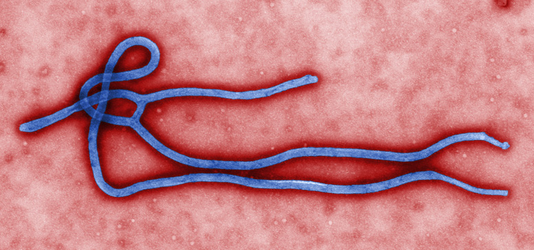 Al menos 2 nuevos casos de Ébola en Guinea donde epidemia se declaró erradicada