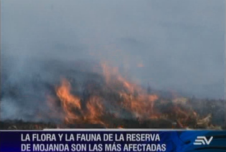 Incendio en cantón Pedro Moncayo continúa activo