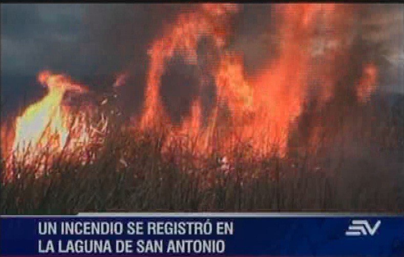 Incendio forestal en laguna de San Antonio habría sido provocado