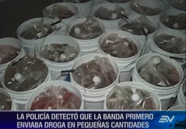 Decomisan el mayor cargamento de droga ilegal en Guayaquil