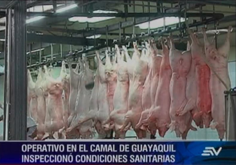 Camal municipal de Guayaquil cumple con normas de salubridad, según autoridades