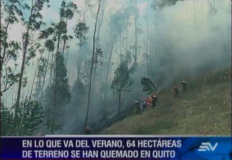 Hay 49% menos incendios forestales en Quito, según autoridades