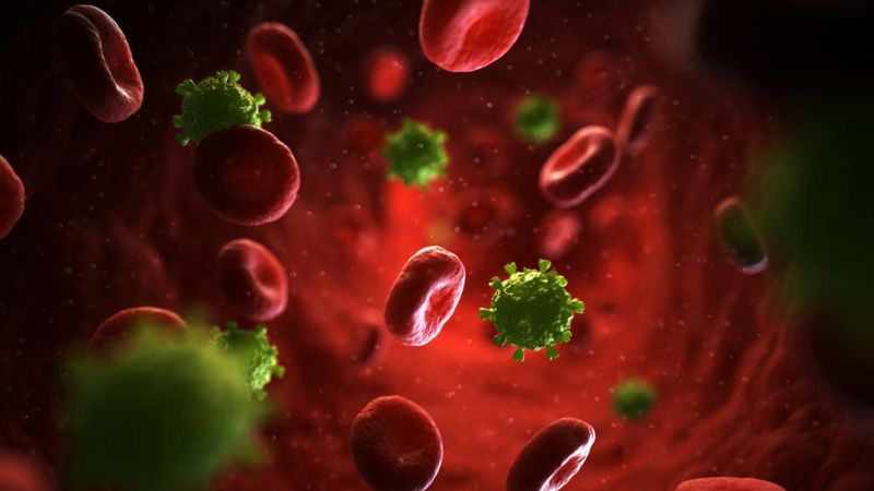 Qué le hace el VIH al sistema inmunitario