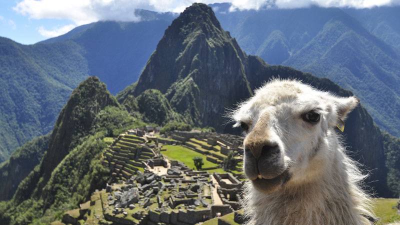 El 70% de turistas visitan Perú por conocer Machu Picchu