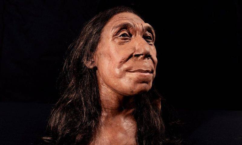 Revelan la cara de una mujer neandertal que vivió hace 75 000 años