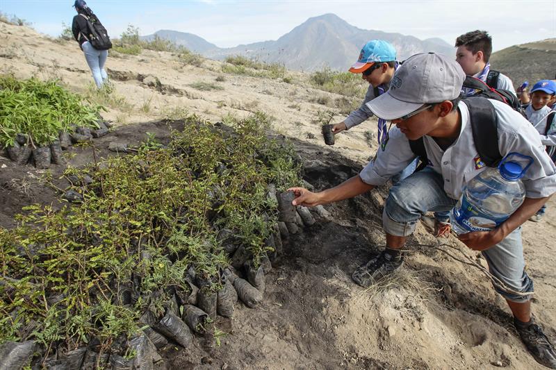 Correa señala que Ecuador logró récord Guinness de reforestación simultánea