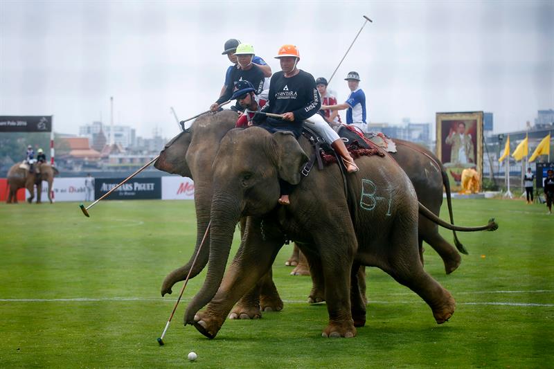 En Tailanda se realizó un partido de polo en elefante