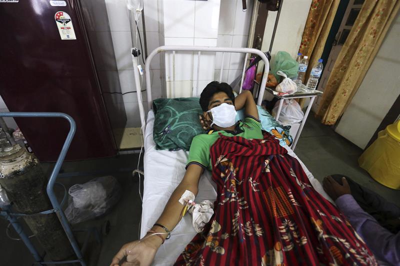 India reconoce 965 muertos por gripe porcina y problemas para diagnosticar