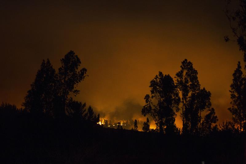 Incendios forestales acorralan zona central de Chile