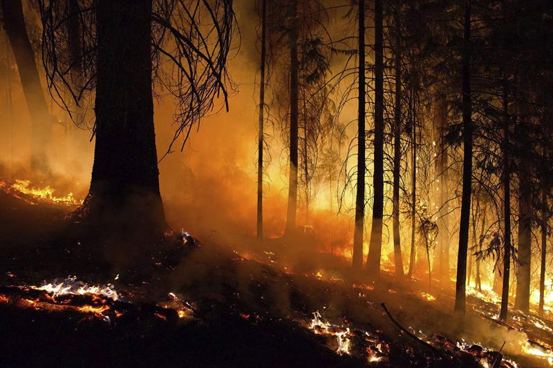 California arde por miles de incendios, pero lo peor está por llegar