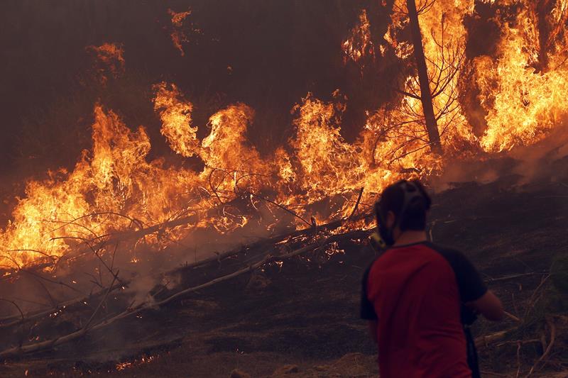 Unas 5.000 personas han sido evacuadas por incendio forestal en el sur Chile