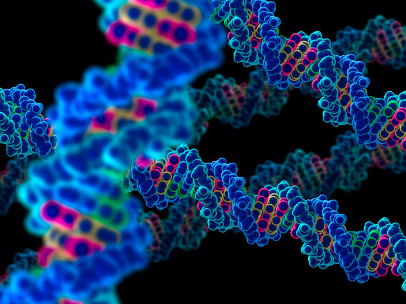 Científicos abren la puerta a la manipulación genética del ADN humano