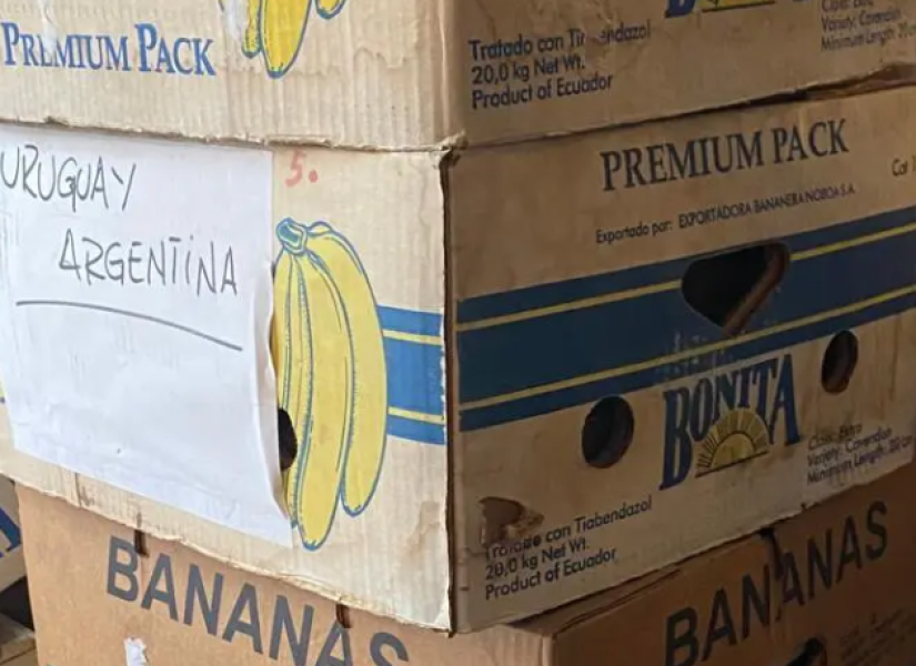 En estas cajas de bananos había escondido un tesoro
