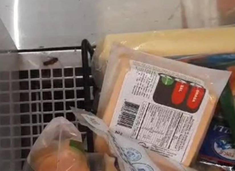 En un video publicado en redes sociales se observan cucarachas andando entre los congeladores y refrigeradoras donde se almacena comida.