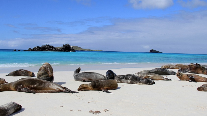 Cambio climático, principal peligro para las islas Galápagos, según Unesco