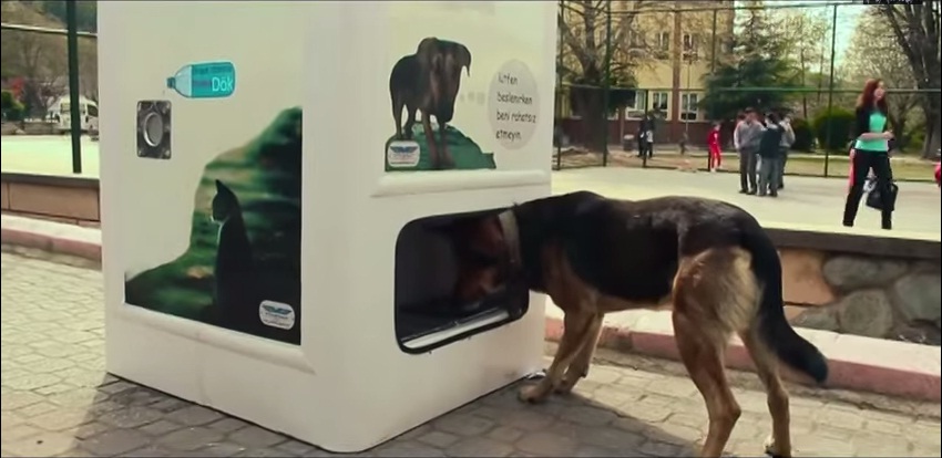 (Video) Recicla botellas y alimentarás a los animales sin hogar