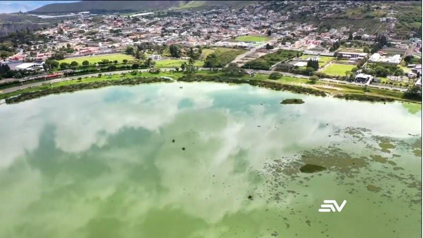 Alerta: Laguna de Yaguarcocha presenta un grave deterioro ambiental