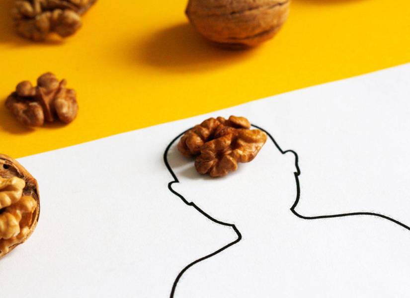 La alimentación juega un papel muy importante en la conservación de la memoria. La alimentación juega un papel muy importante en la conservación de la memoria.