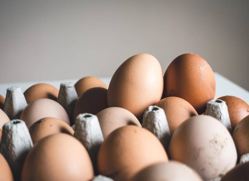 Imagen de una cubeta de huevos.