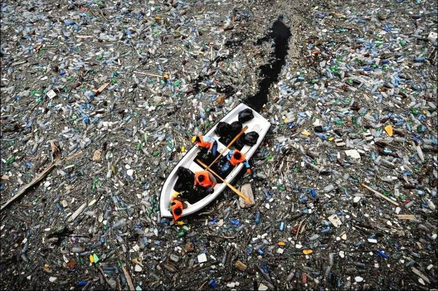 ¿Cuál es el costo del plástico en los océanos?