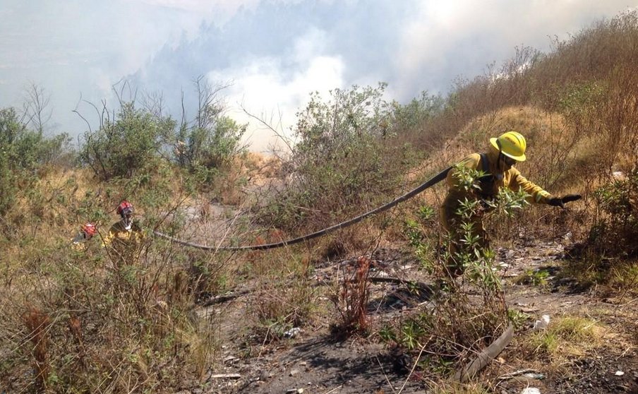 Incendio en el cerro Auqui obligó a la evacuación de 150 personas