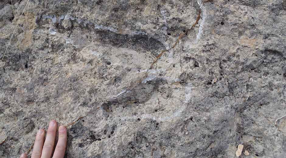 Descubren en Canadá huellas humanas de hace 13.000 años