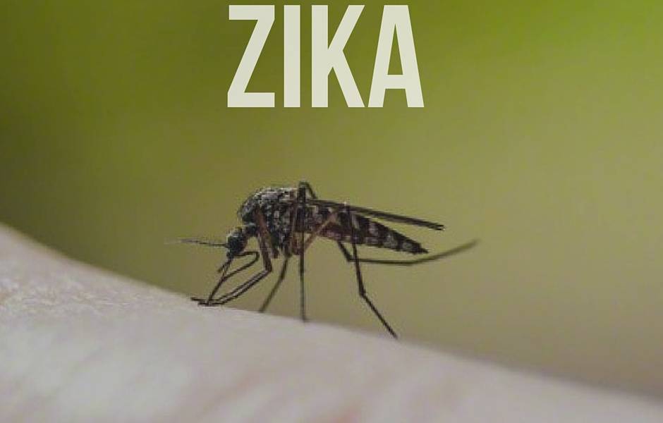 Las preguntas más frecuentes sobre el virus zika