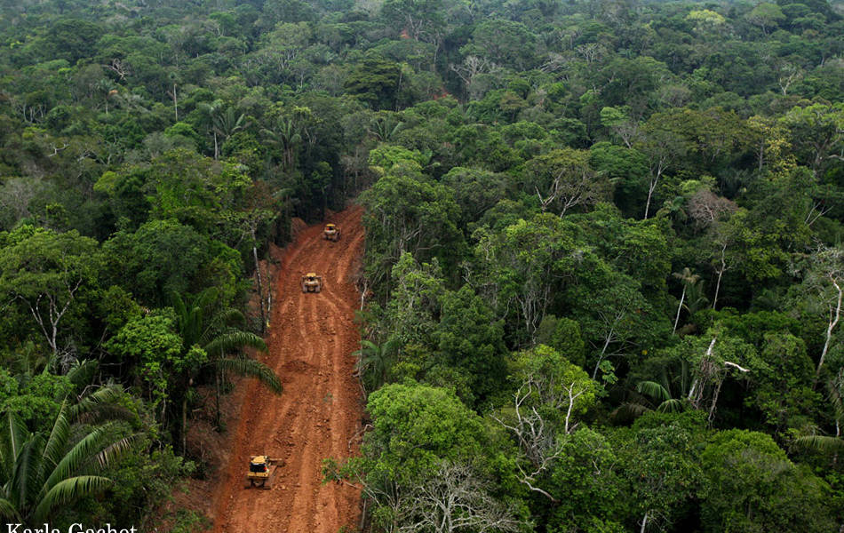 Petroamazonas no habría respetado la licencia ambiental para ingresar al Yasuní