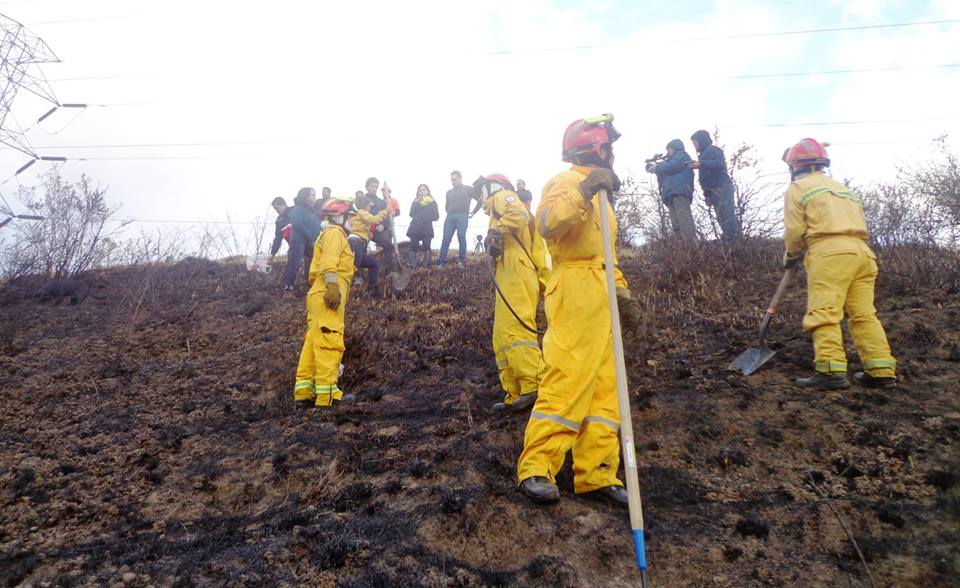 Más de 12 hectáreas de bosques quemadas en el cantón Rumiñahui