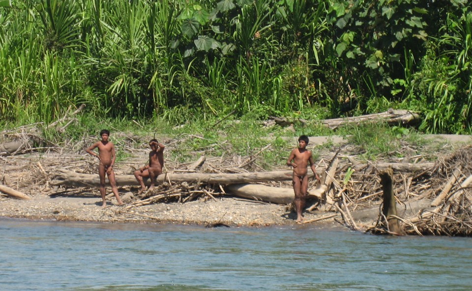 Tribus aisladas del Amazonas en peligro de colisión con la sociedad moderna