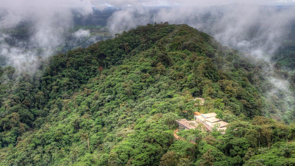 Mashpi Lodge, el hotel de lujo en Ecuador que logró salvar uno de los bosques tropicales más bellos y diversos del planeta