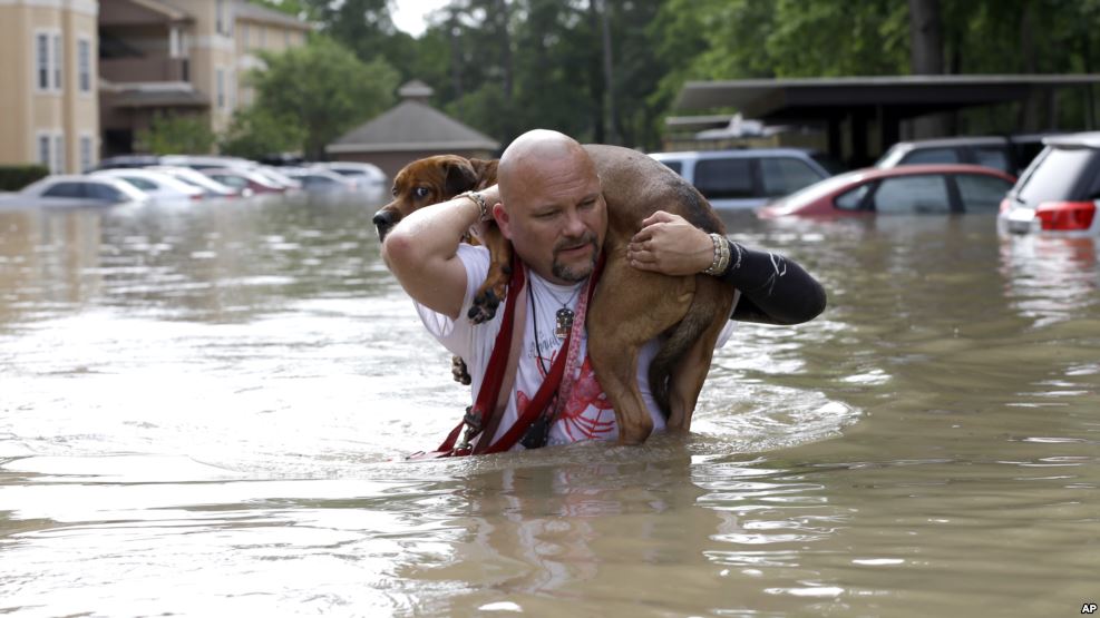 EE.UU.: al menos seis muertos en inundaciones en Texas