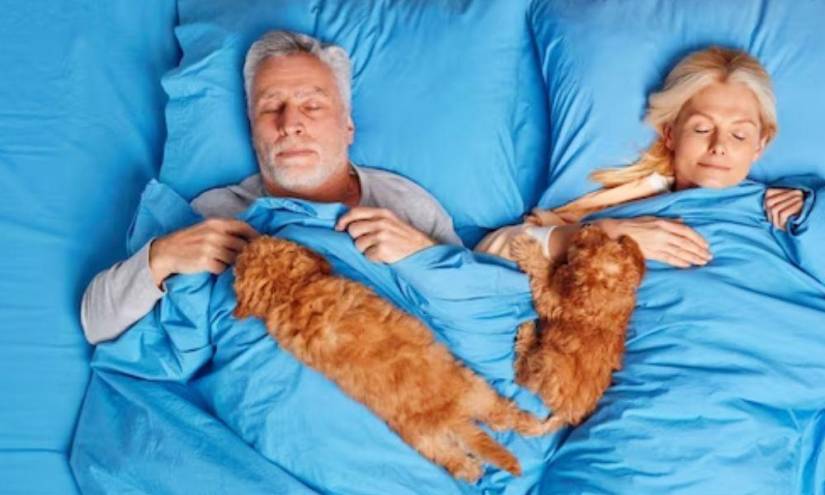 Imagen referencial de una persona durmiendo con su mascota, algo que podría ser peligrosos según el estudio realizado por el Instituto del Sueño Español.