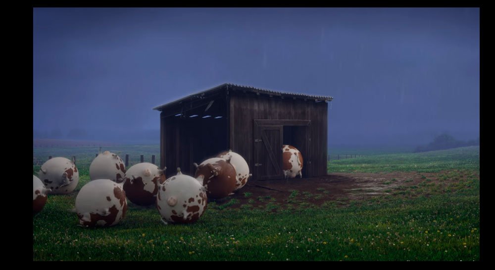 El divertido video que muestra qué pasaría si los animales fueran redondos