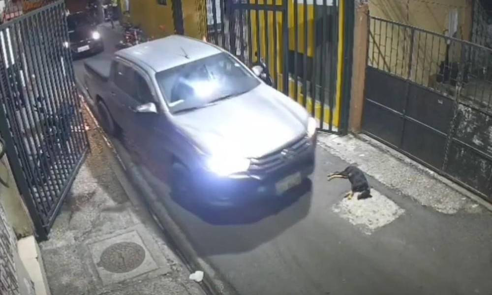 Municipio de Guayaquil busca al hombre que atropelló a un perro en Florida Norte