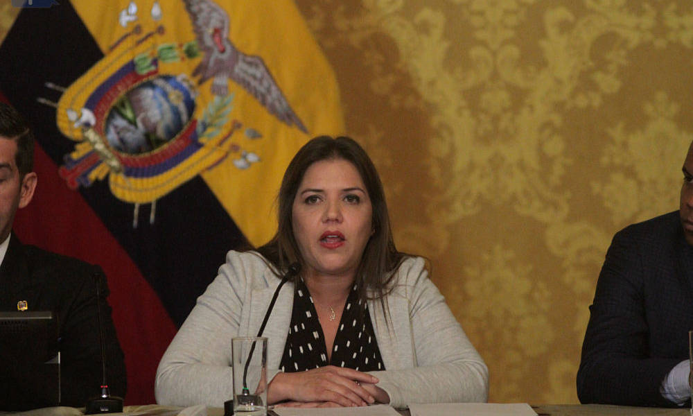 Vicuña considera discriminatorias declaraciones de Correa