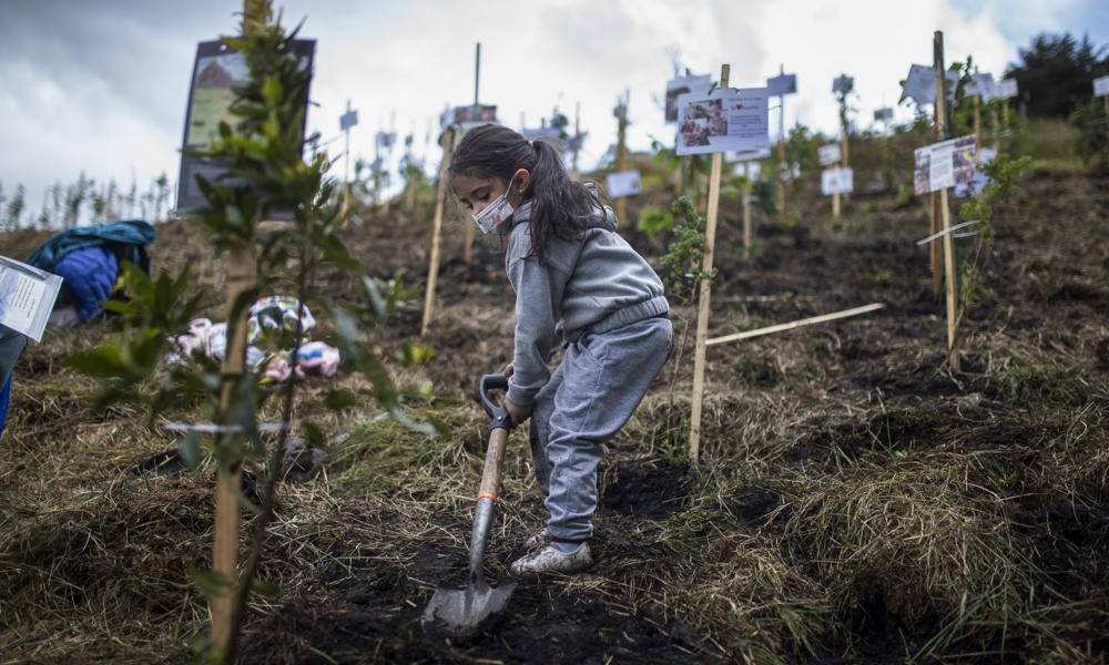 Colombia planta árboles en memoria de víctimas del COVID-19