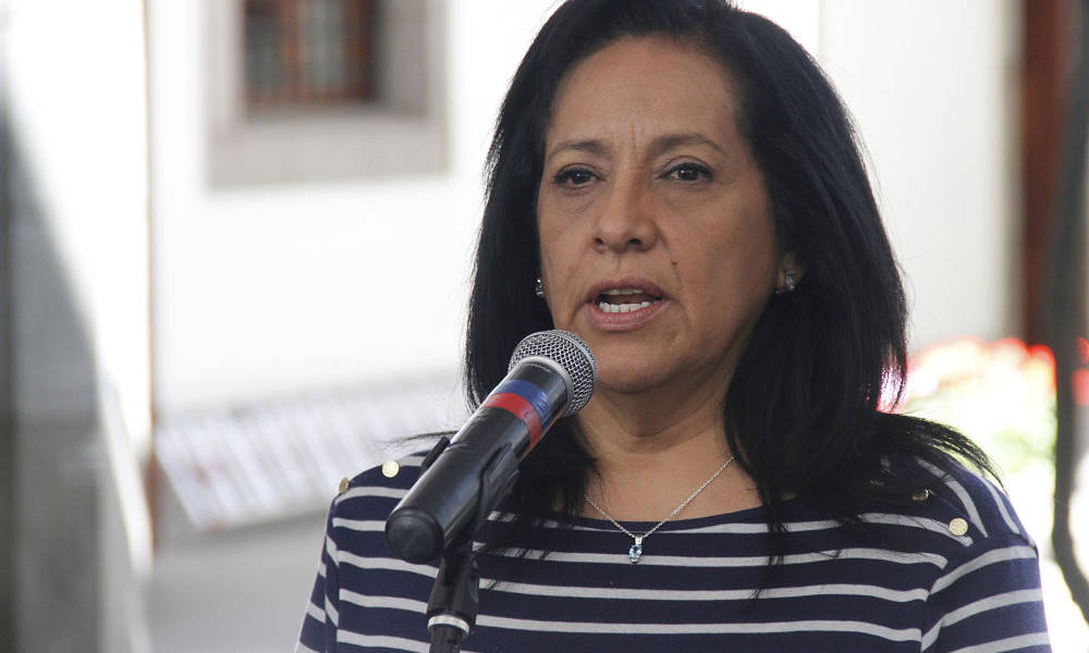 Pedirán a Cpccs Transitorio investigar a Thania Moreno
