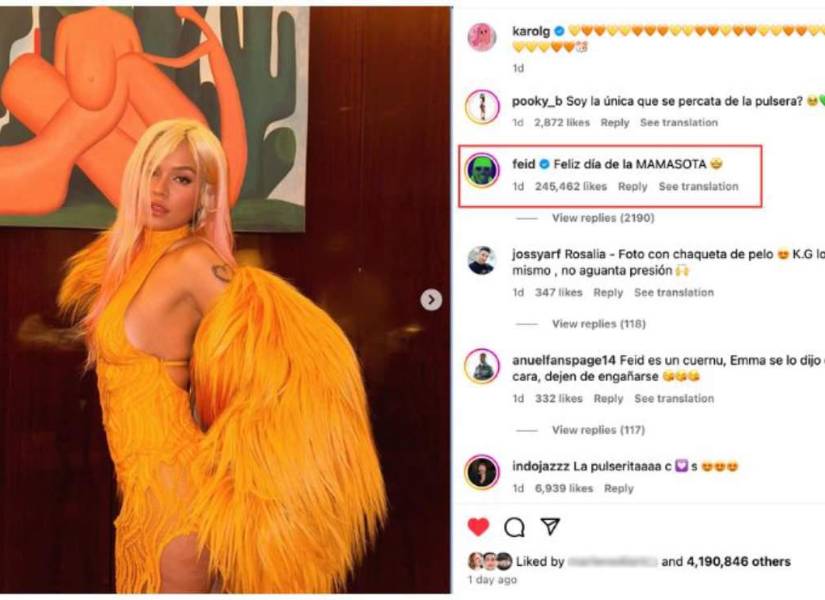 Entre los comentarios algunos usuarios se manifestaron sobre el accesorio que usó la Bichota
