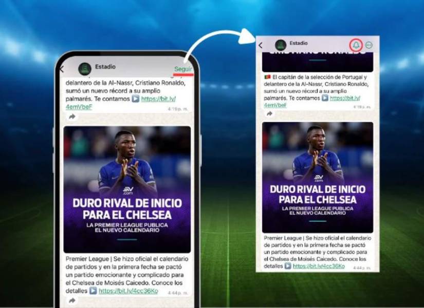 Después de seguir el canal, presiona en la campanita para activar las notificaciones