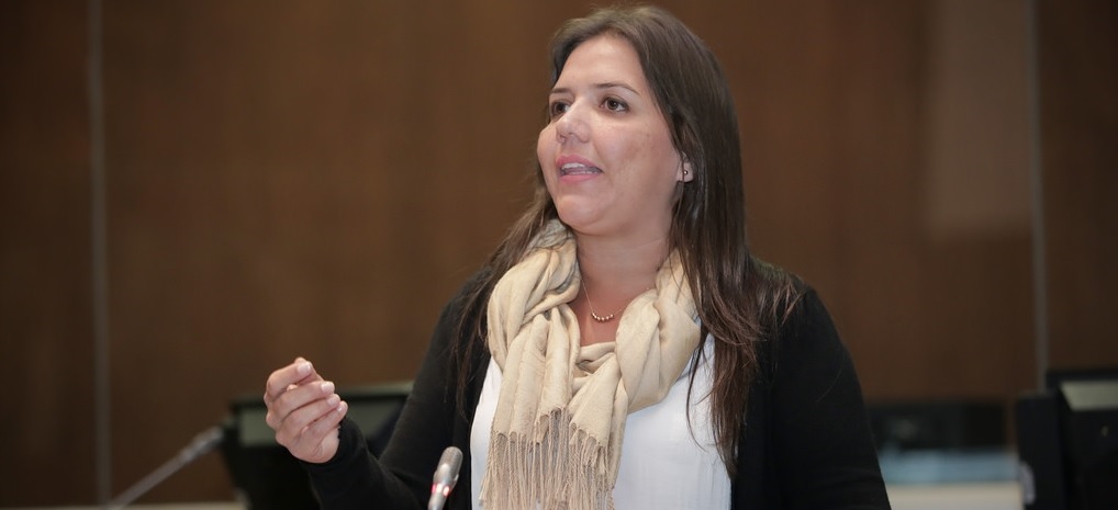 Asamblea aún debe tramitar renuncia de Vicuña