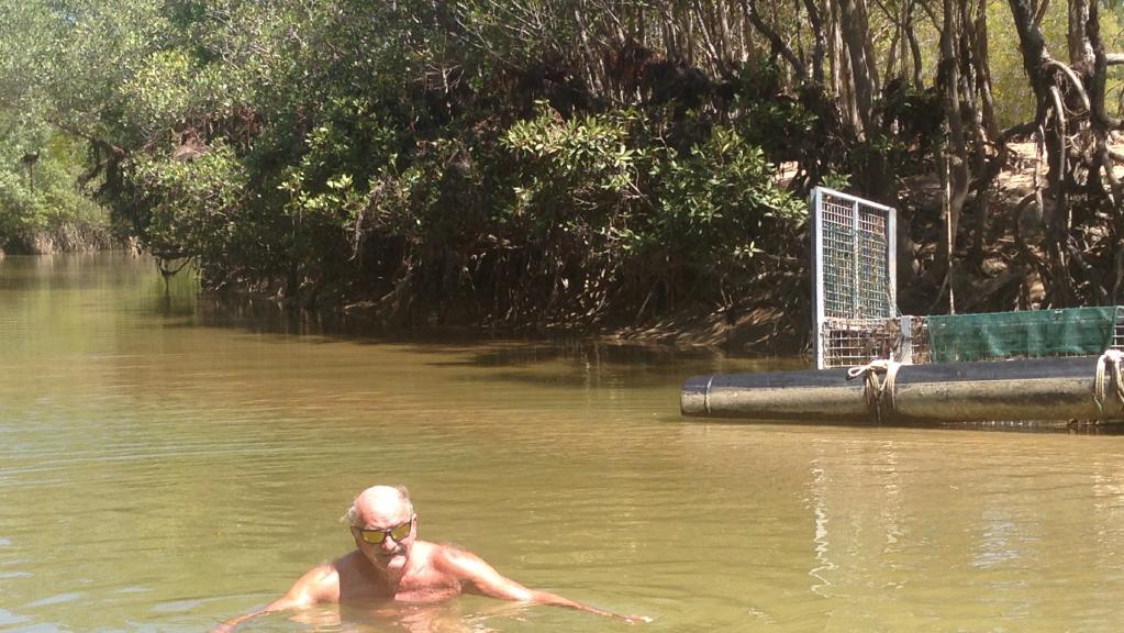 Un abuelo se tomó esta foto para impresionar a los nietos pero corrió un riesgo mortal