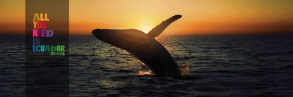 Comercial &#039;All You Need Is Ecuador&#039; está listo para el Super Bowl