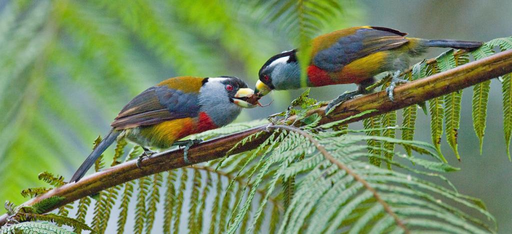 Hotel ecuatoriano entre los 24 selectos del mundo por National Geographic